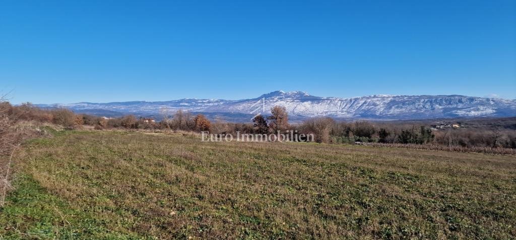 Land in Pican, Istria County, Croatia 2 - 17629533