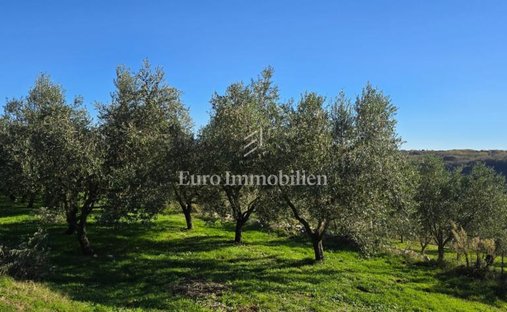 Land in Pican, Istria County, Croatia 1