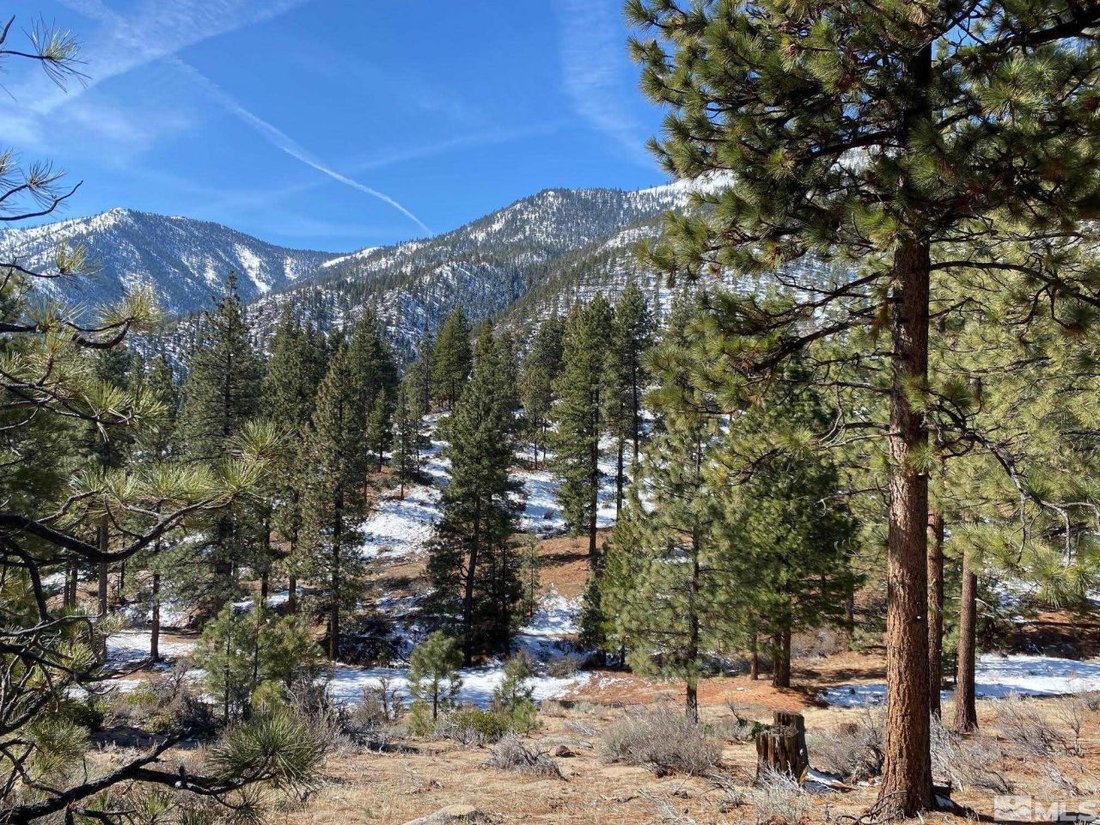 Land in Genoa, Nevada, United States 3 - 15367511