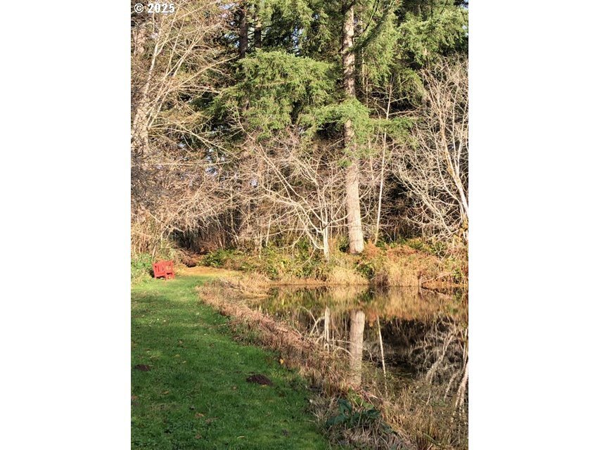 House in Amboy, Washington, United States 4 - 16470447