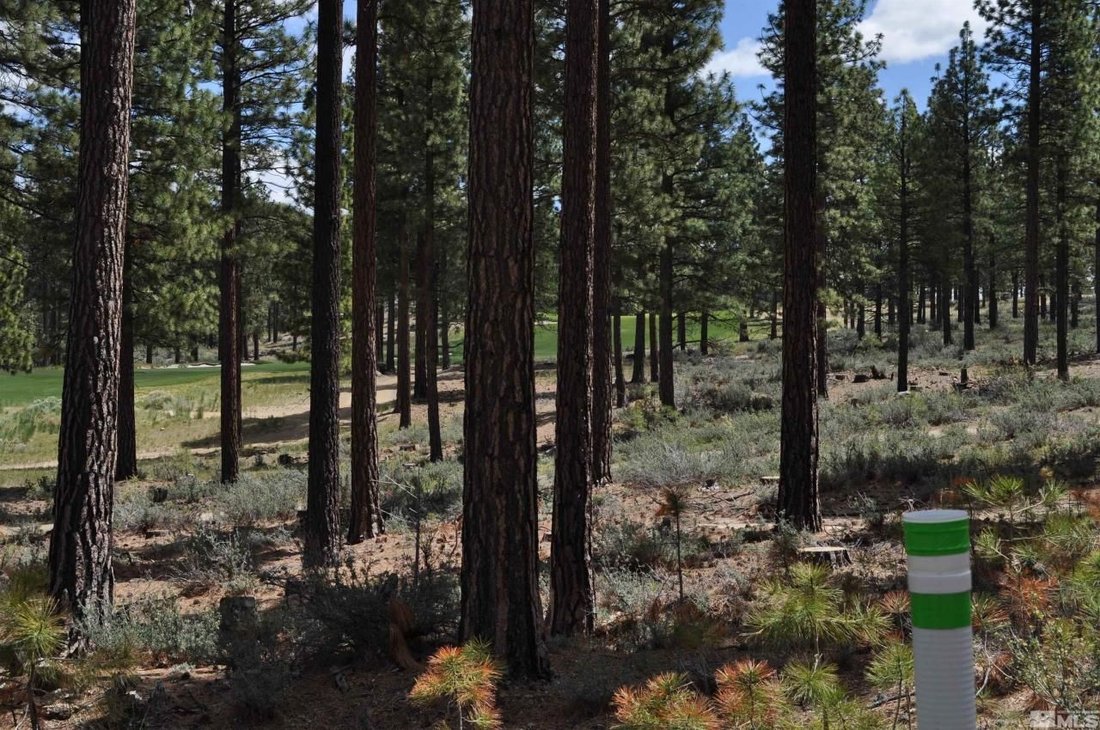Land in Genoa, Nevada, United States 1 - 14472729