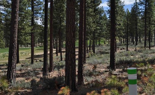 Land in Genoa, Nevada, United States 1