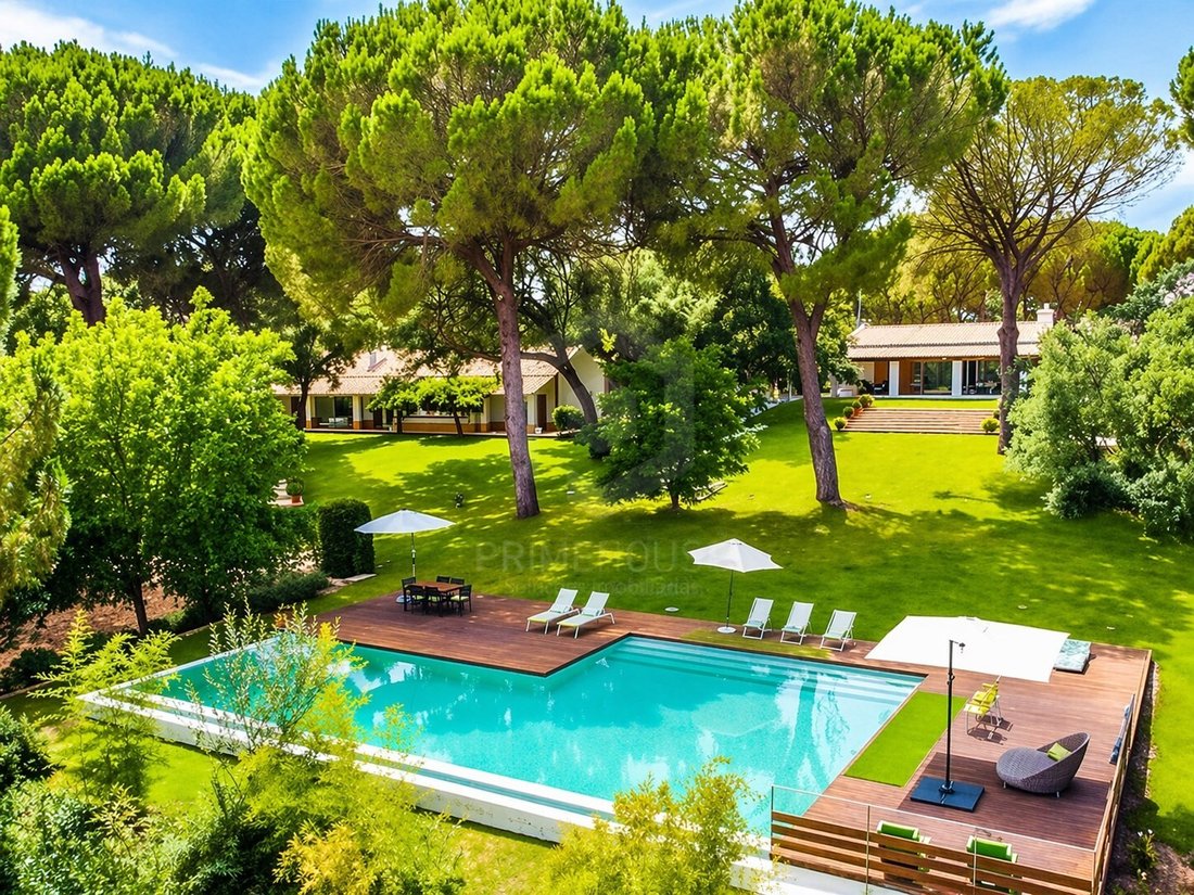 Finca in Grandola e Santa Margarida da Serra, Setubal, Portugal 2 - 16569841