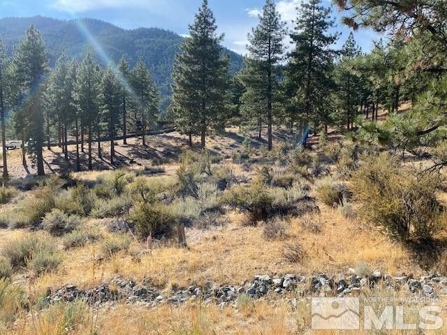 Land in Genoa, Nevada, United States 4 - 14820159