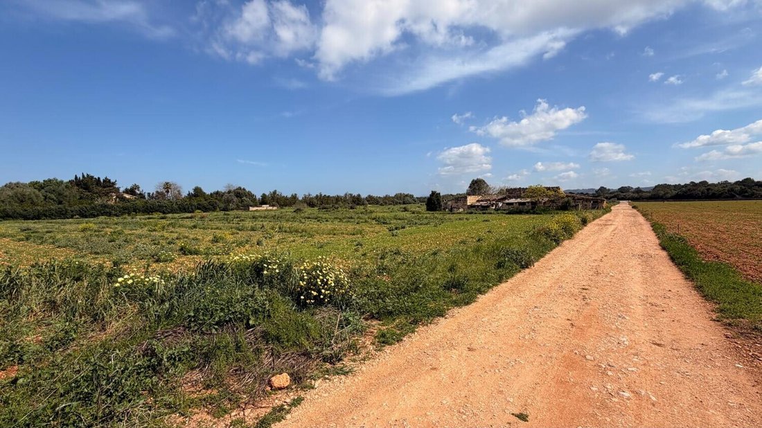 Land in Llubi, Balearic Islands, Spain 4 - 17640484
