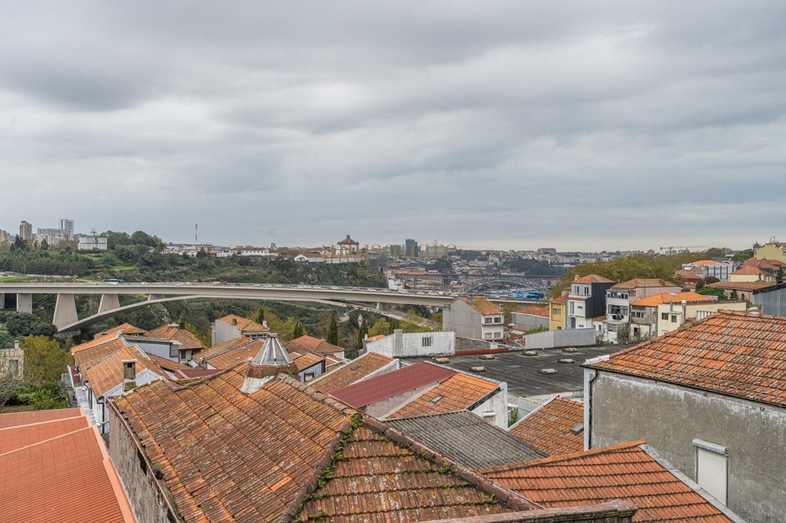 Bonfim, Porto District, Portugal 3 - 17631174