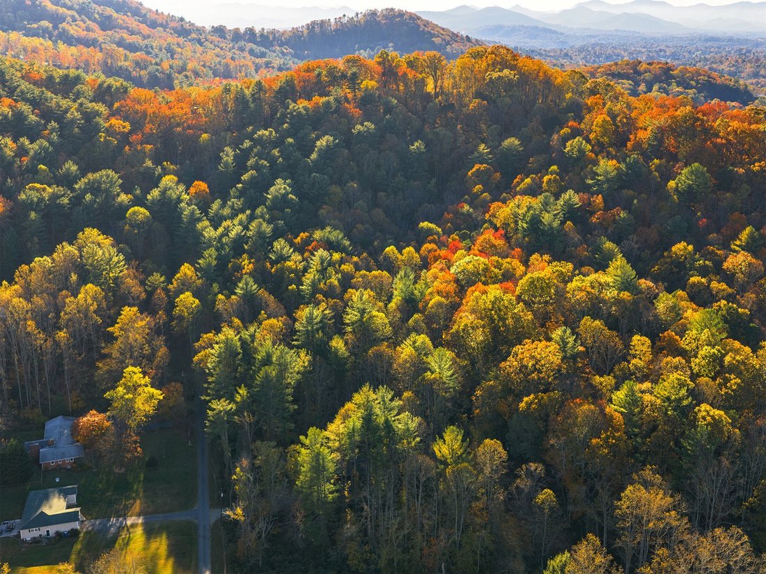 Terreno en Asheville, Carolina del Norte, Estados Unidos 4 - 17637059