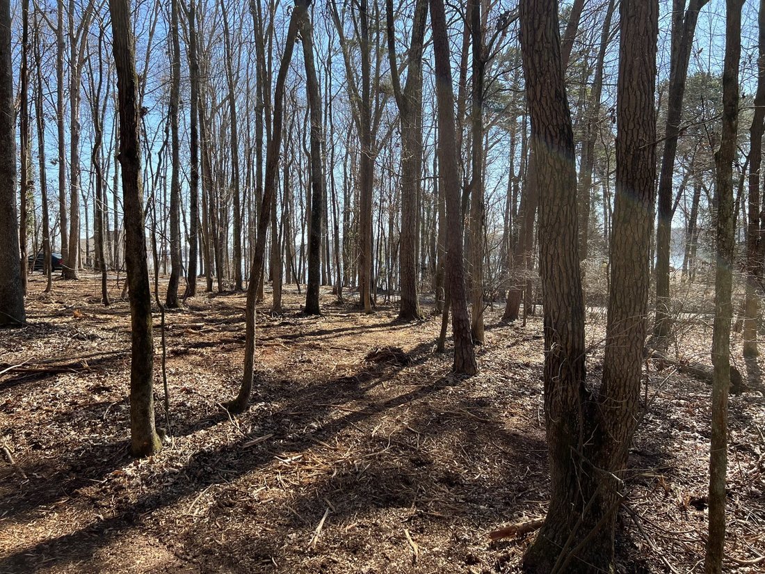 Land in York, South Carolina, United States 4 - 17553906