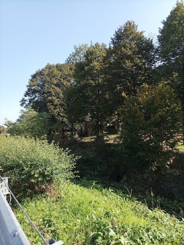 House in Castello, Nichelino, Piedmont 2 - 17631146
