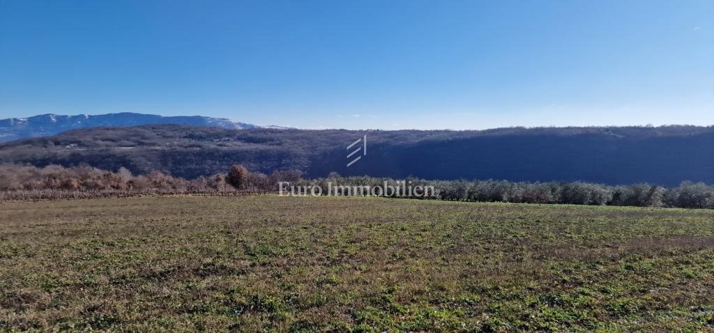 Land in Pican, Istria County, Croatia 5 - 17629533