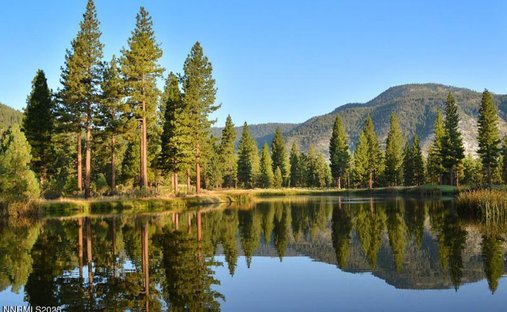 Terreno a Genoa, Nevada, Stati Uniti 1