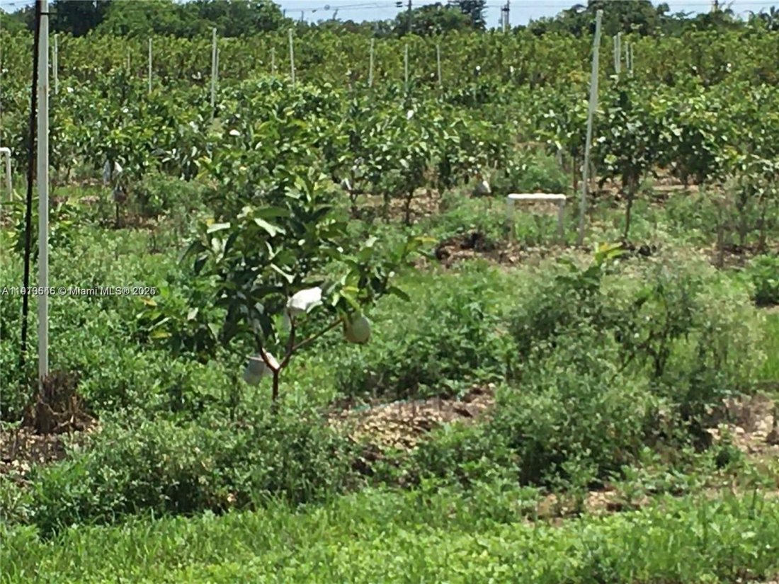 Land in Homestead, Florida, United States 2 - 17639028
