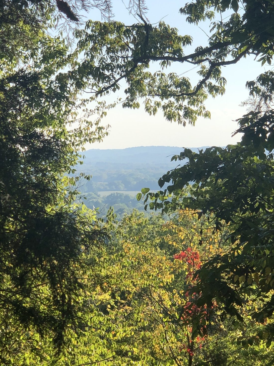 Land in Franklin, Tennessee, United States 2 - 17635856