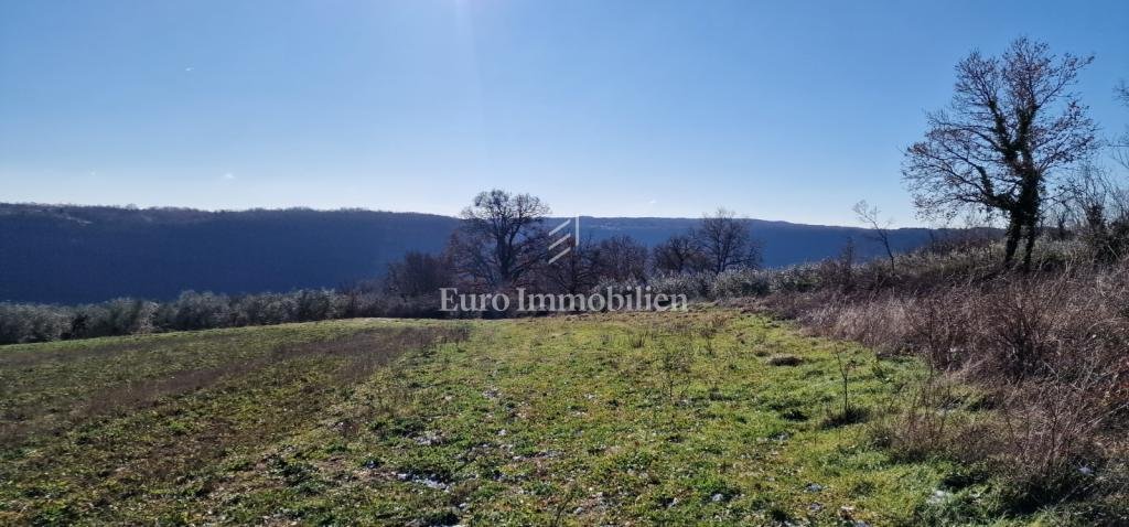 Land in Pican, Istria County, Croatia 4 - 17629533