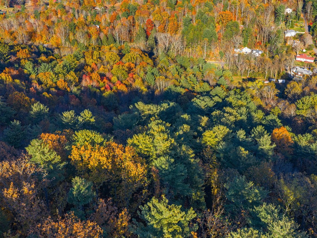 Terreno en Asheville, Carolina del Norte, Estados Unidos 2 - 17637059