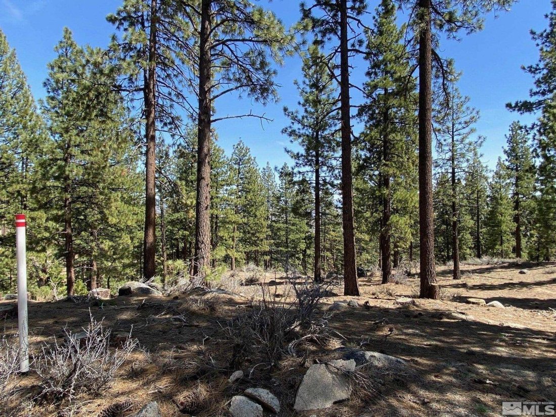 Land in Genoa, Nevada, United States 2 - 15191307