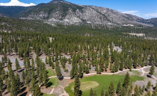 Land in Genoa, Nevada, United States 1