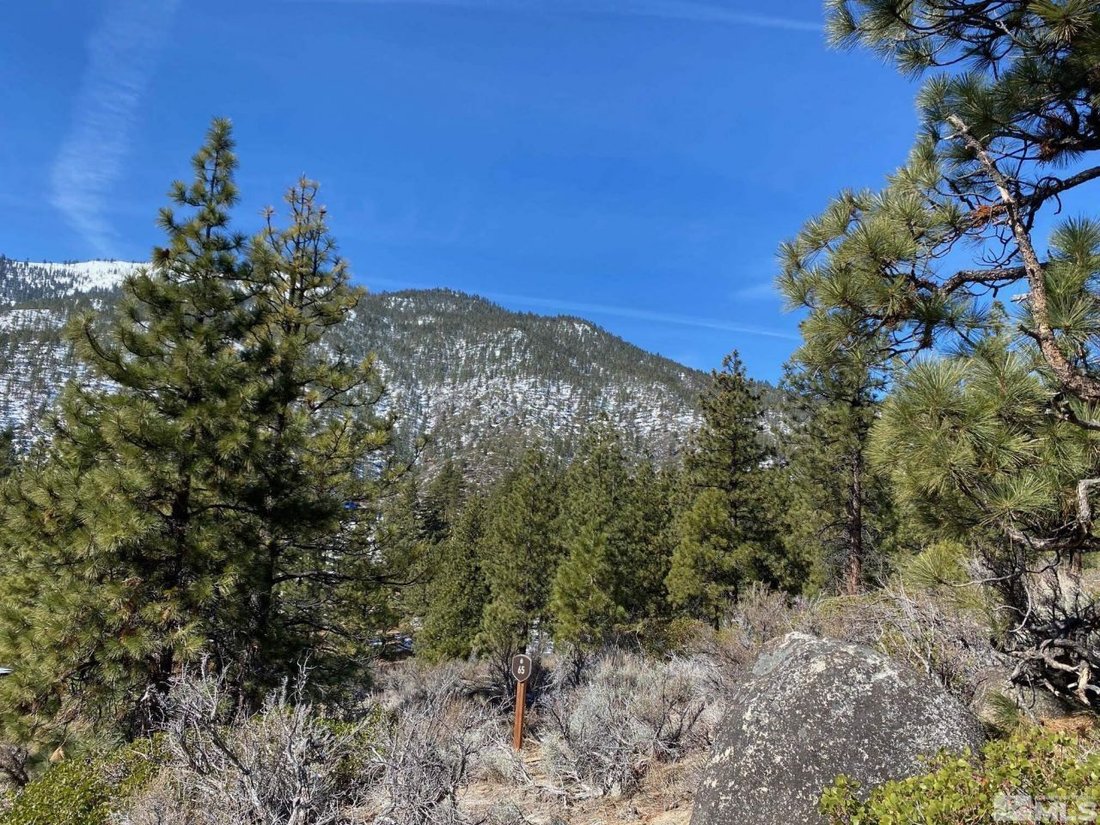 Land in Genoa, Nevada, United States 1 - 15367511