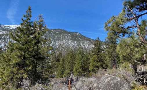 Land in Genoa, Nevada, United States 1