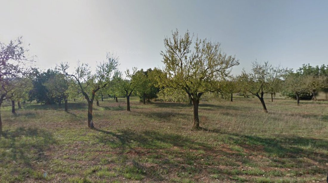 Land in Marratxi, Balearic Islands, Spain 3 - 17640568