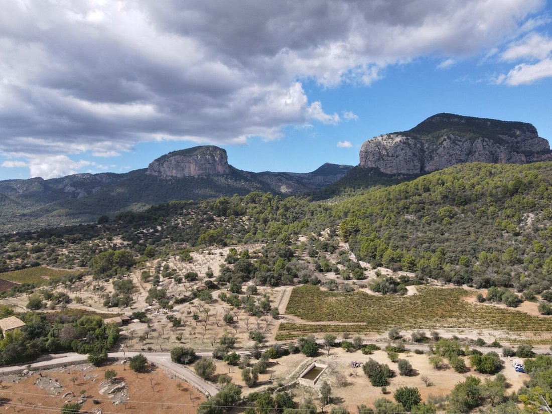 House in Alaro, Balearic Islands, Spain 3 - 14816442