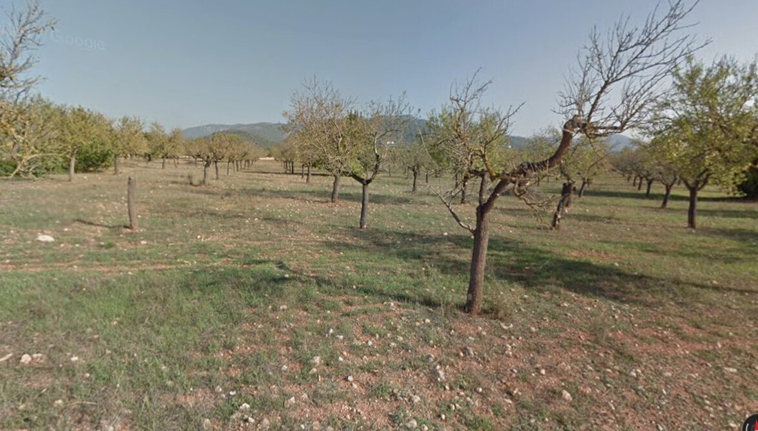Land in Marratxi, Balearic Islands, Spain 1 - 17640568
