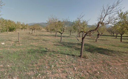 Terreno a Marratxí, Isole Baleari, Spagna 1