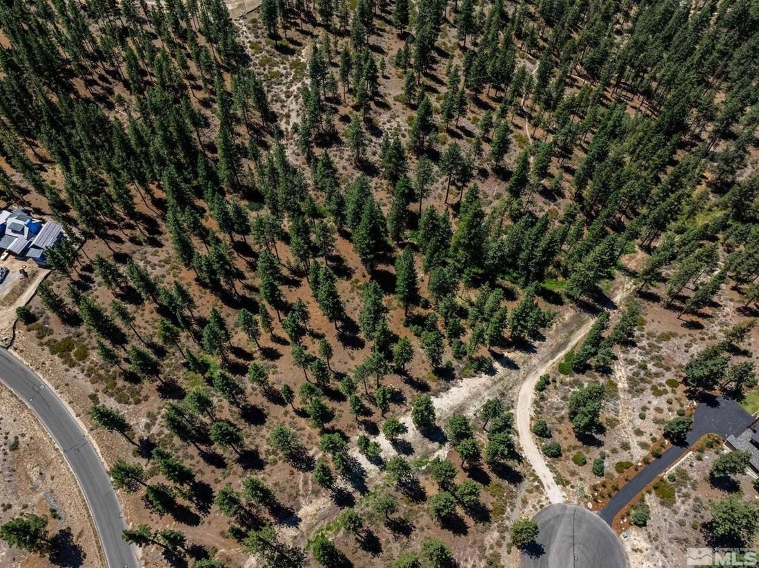 Land in Genoa, Nevada, United States 4 - 14610647