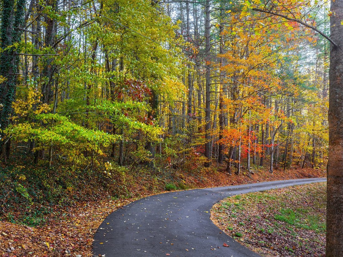 Terreno en Asheville, Carolina del Norte, Estados Unidos 5 - 17637059