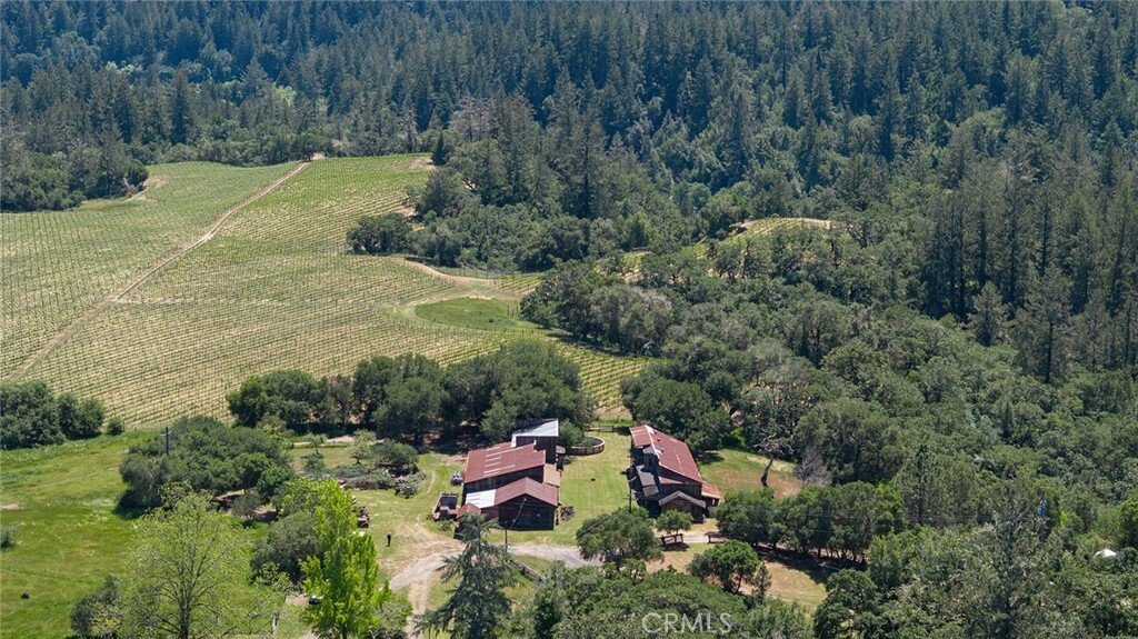 House in Sebastopol, California, United States 4 - 16306332
