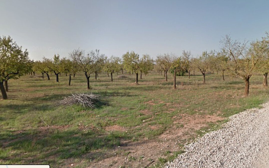 Land in Marratxi, Balearic Islands, Spain 2 - 17640568