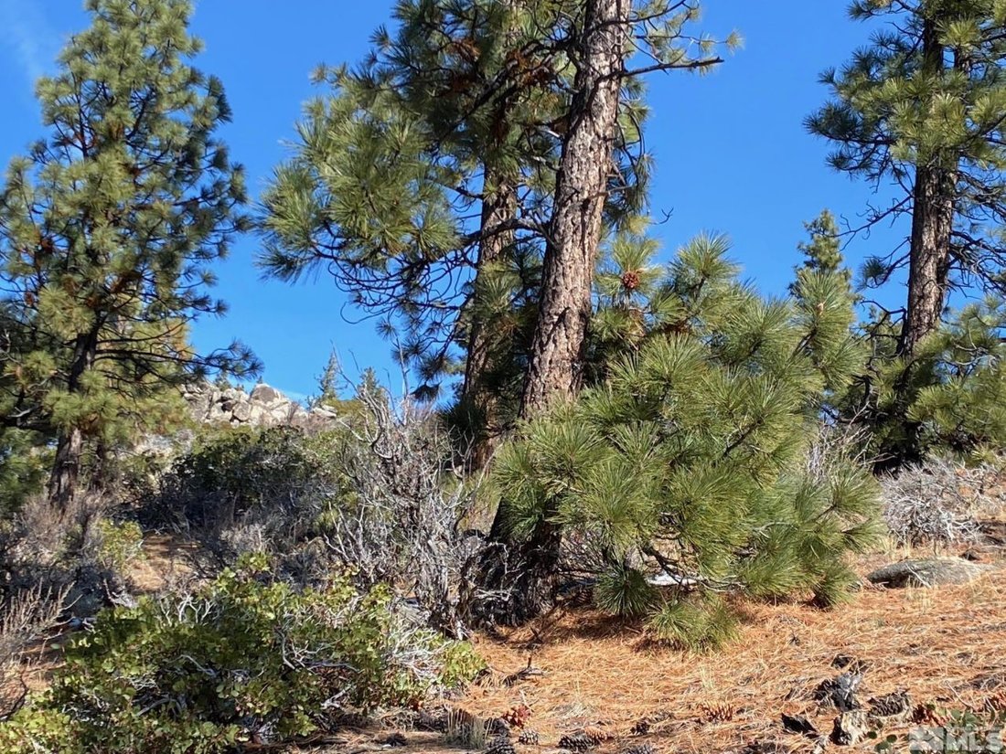 Land in Genoa, Nevada, United States 4 - 15367511