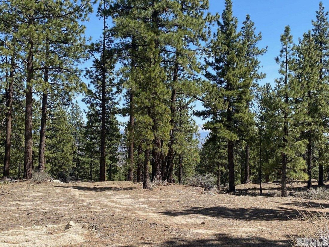 Land in Genoa, Nevada, United States 3 - 15191307