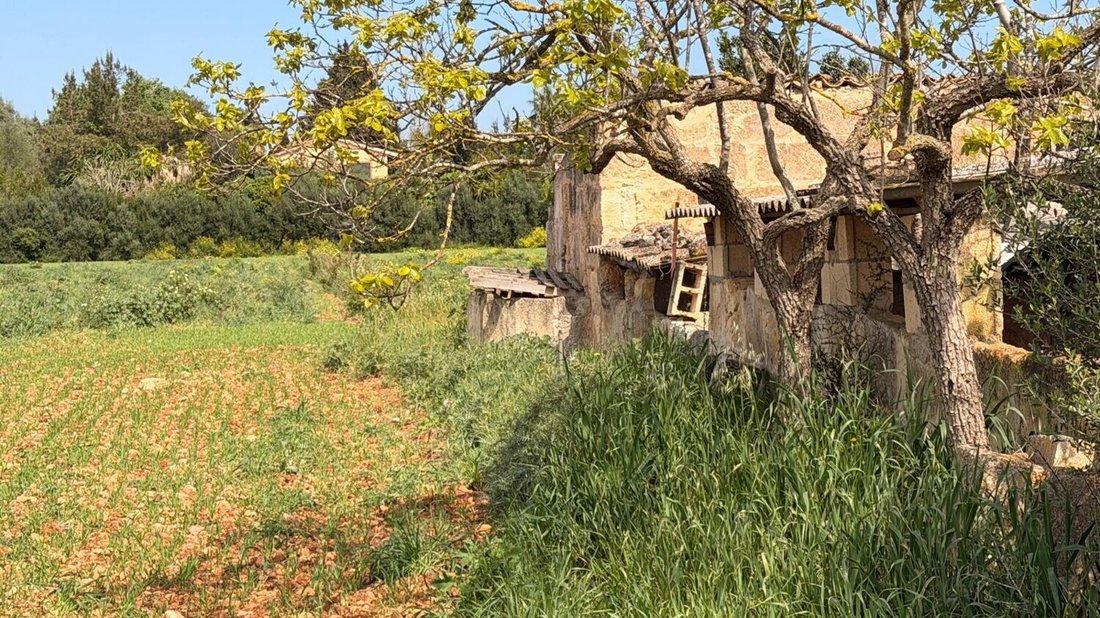 Land in Llubi, Balearic Islands, Spain 3 - 17640484