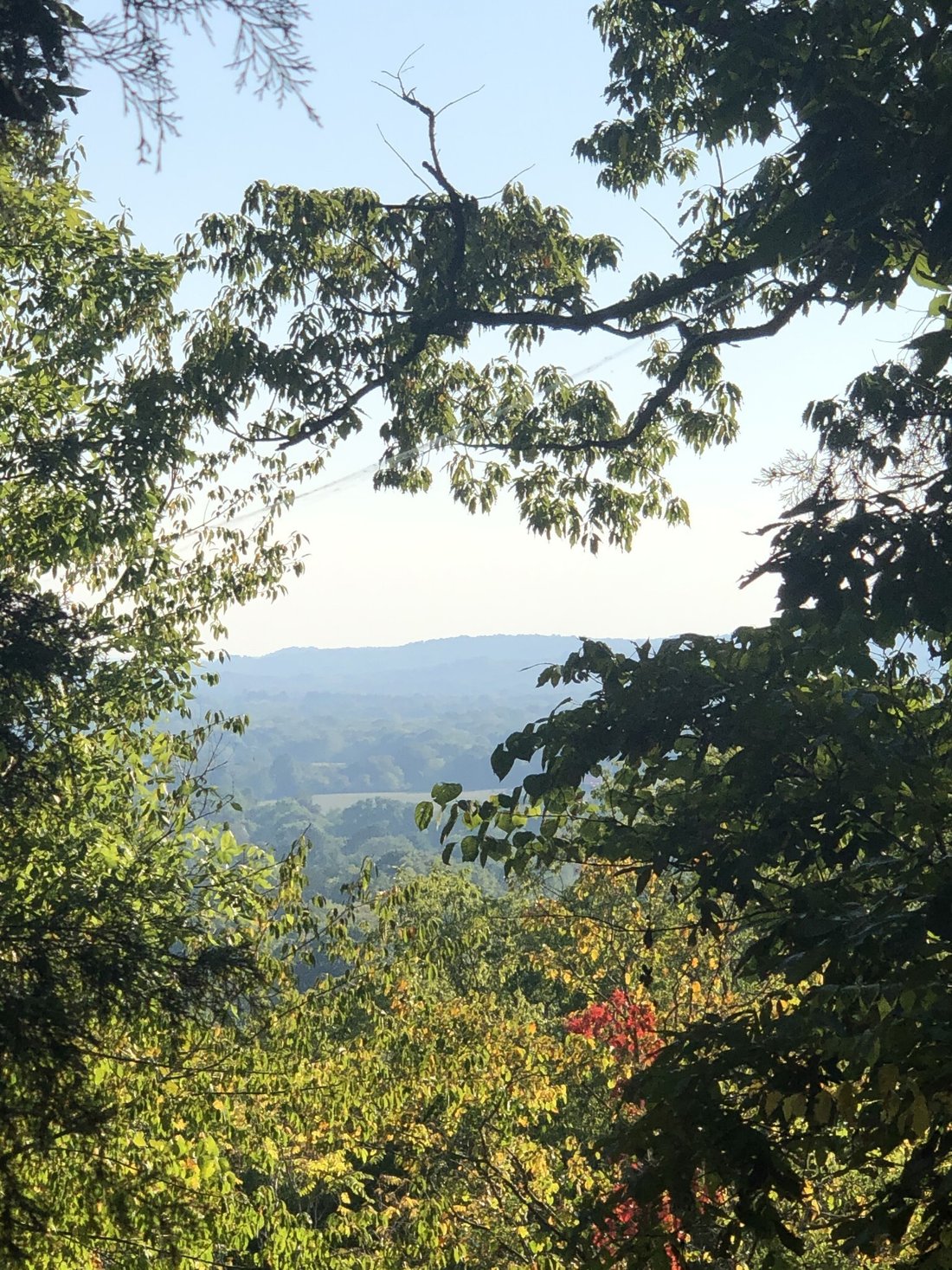 Land in Franklin, Tennessee, United States 1 - 17635856