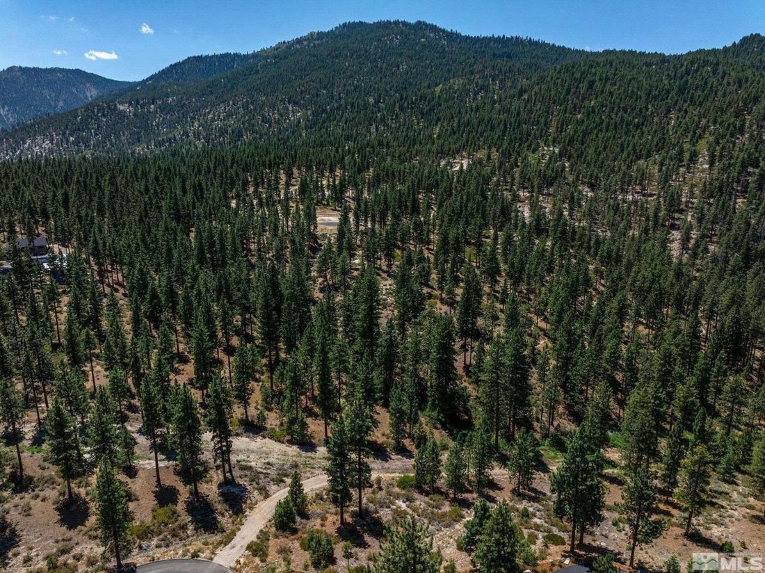 Land in Genoa, Nevada, United States 3 - 14610647