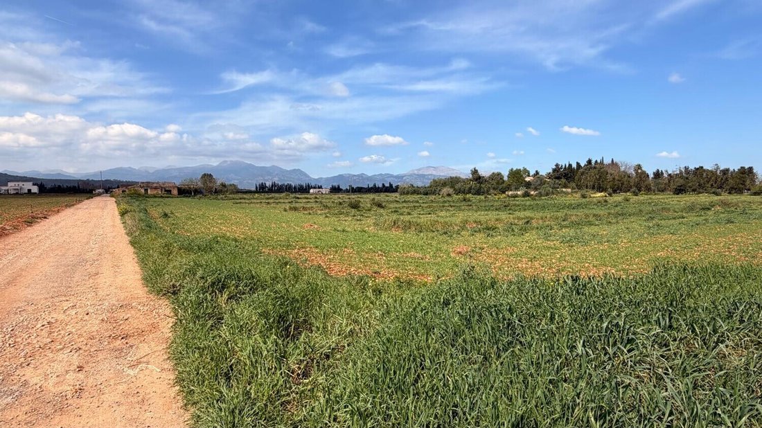 Land in Llubi, Balearic Islands, Spain 5 - 17640484