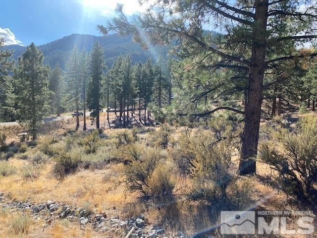 Land in Genoa, Nevada, United States 5 - 14820159