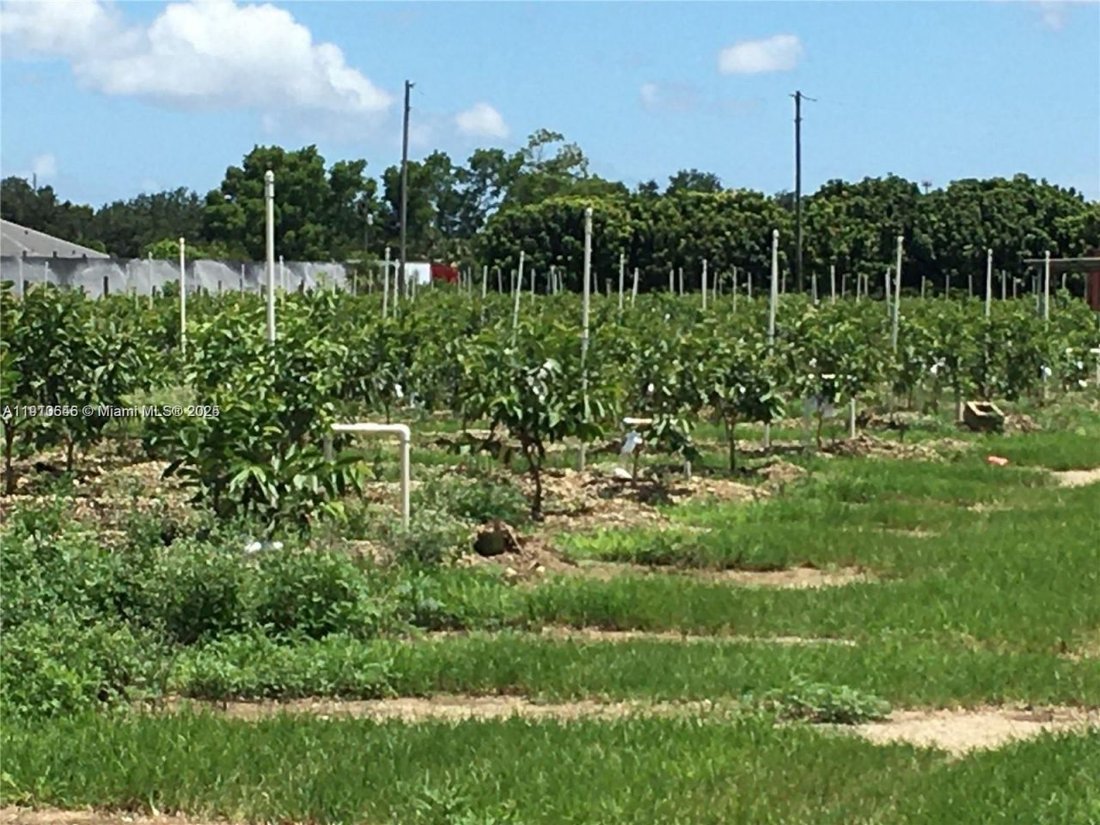 Land in Homestead, Florida, United States 1 - 17639028