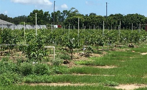 Terreno en Homestead, Florida, Estados Unidos 1