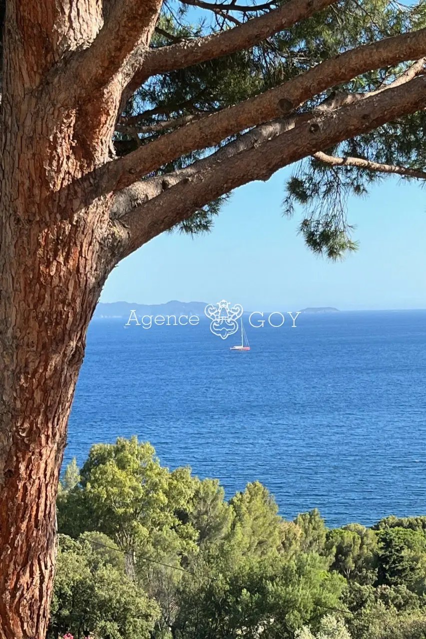 House in Le Lavandou, Provence-Alpes-Côte d'Azur, France 2 - 17629180