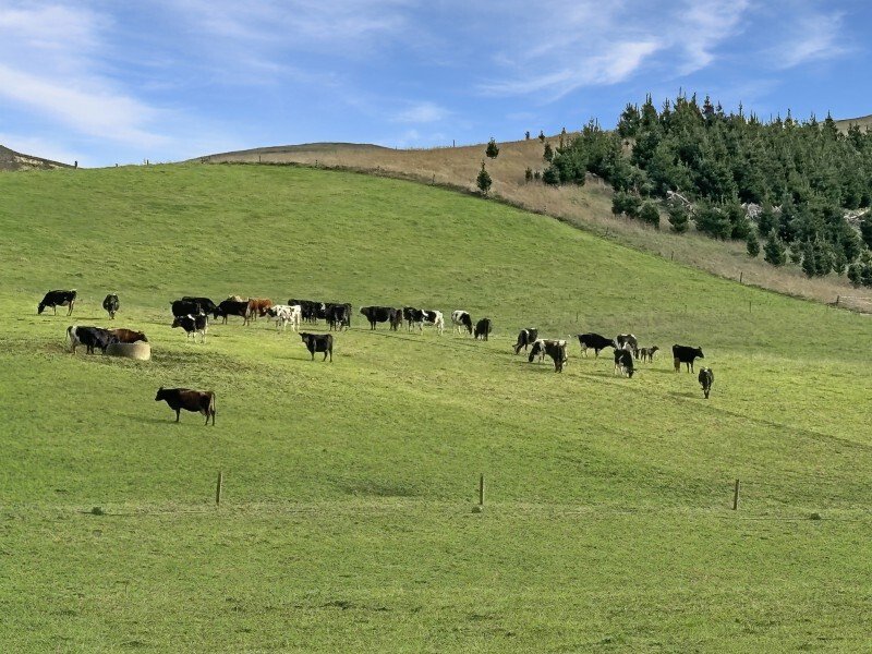 Country House in Windsor, Otago, New Zealand 4 - 17637484