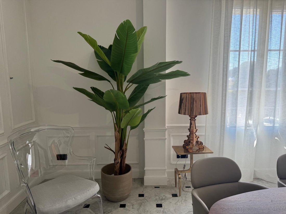 Apartment in Cannes, Provence-Alpes-Côte d'Azur, France 5 - 17629566