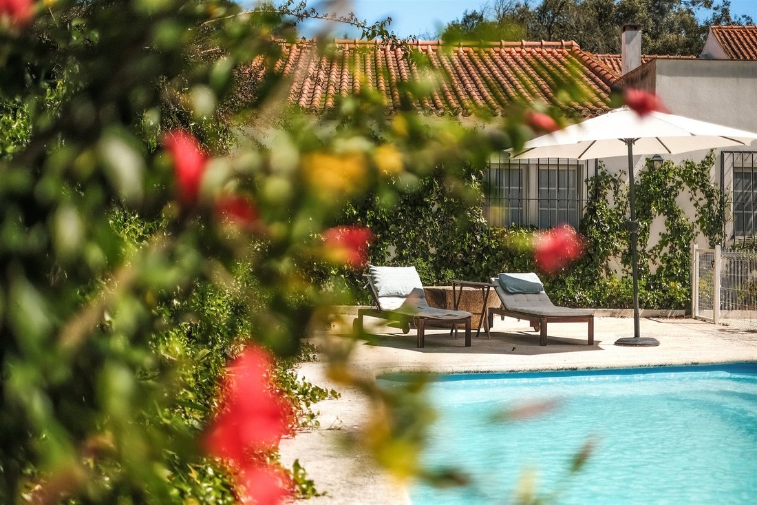 Farm Ranch in Almeirim, Santarem District, Portugal 5 - 16648291