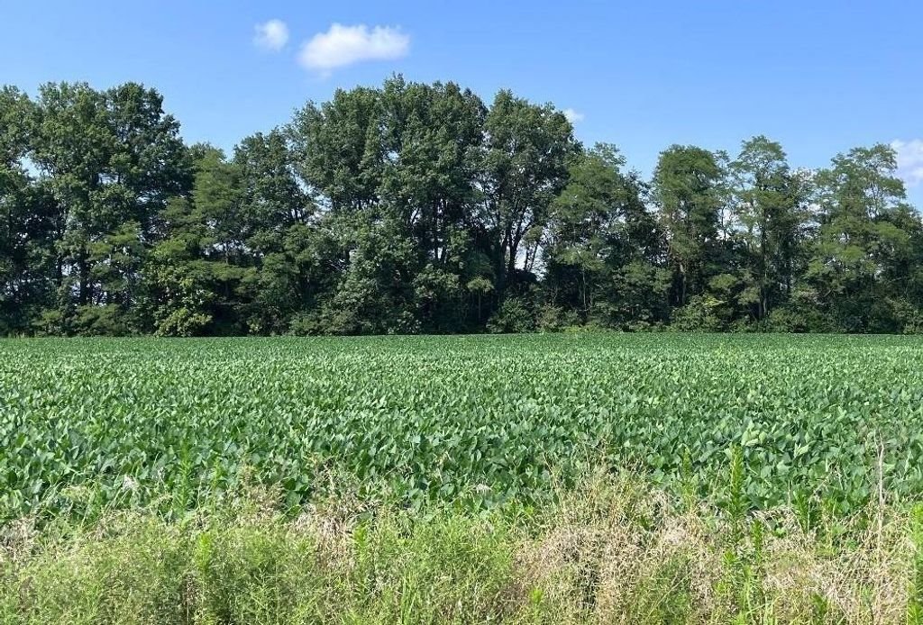 Land in Mount Orab, Ohio, United States 2 - 17636531