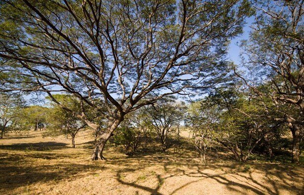 Land in Canas, Guanacaste Province, Costa Rica 3 - 15985386