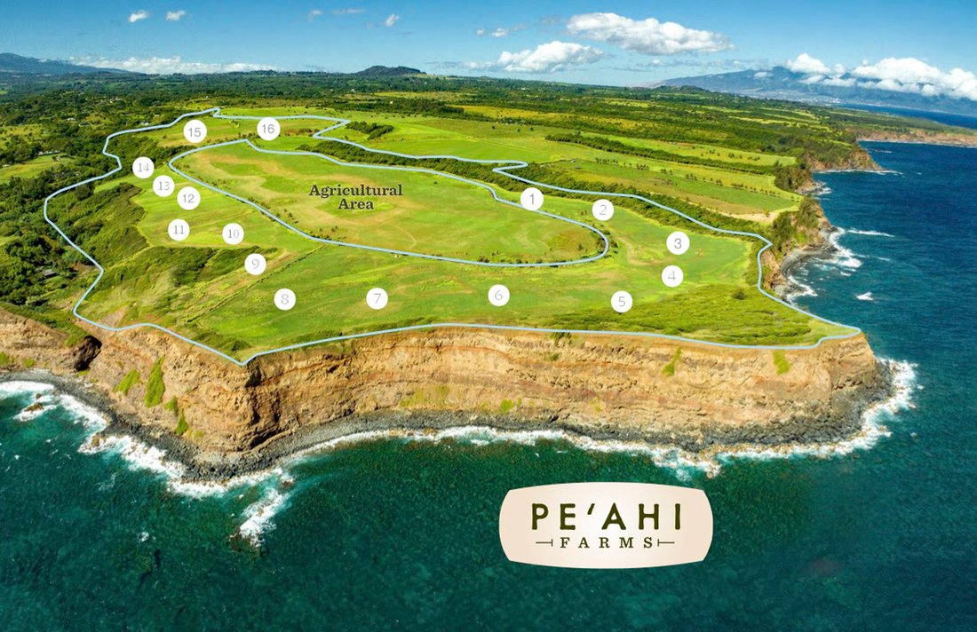 Land in Haiku-Pauwela, Hawaii, United States 2 - 15850874