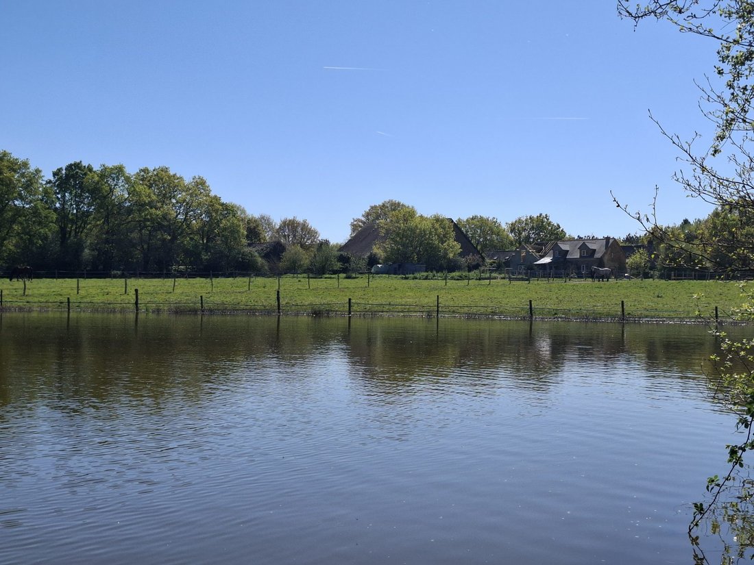 House in Riaille, Pays de la Loire, France 3 - 17635003