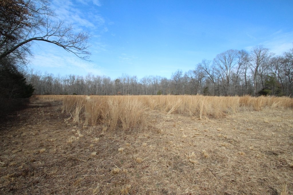 Land in Townsend, Delaware, United States 1 - 17637023