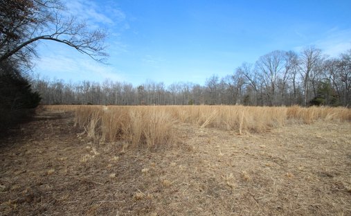 Terreno a Townsend, Delaware, Stati Uniti 1